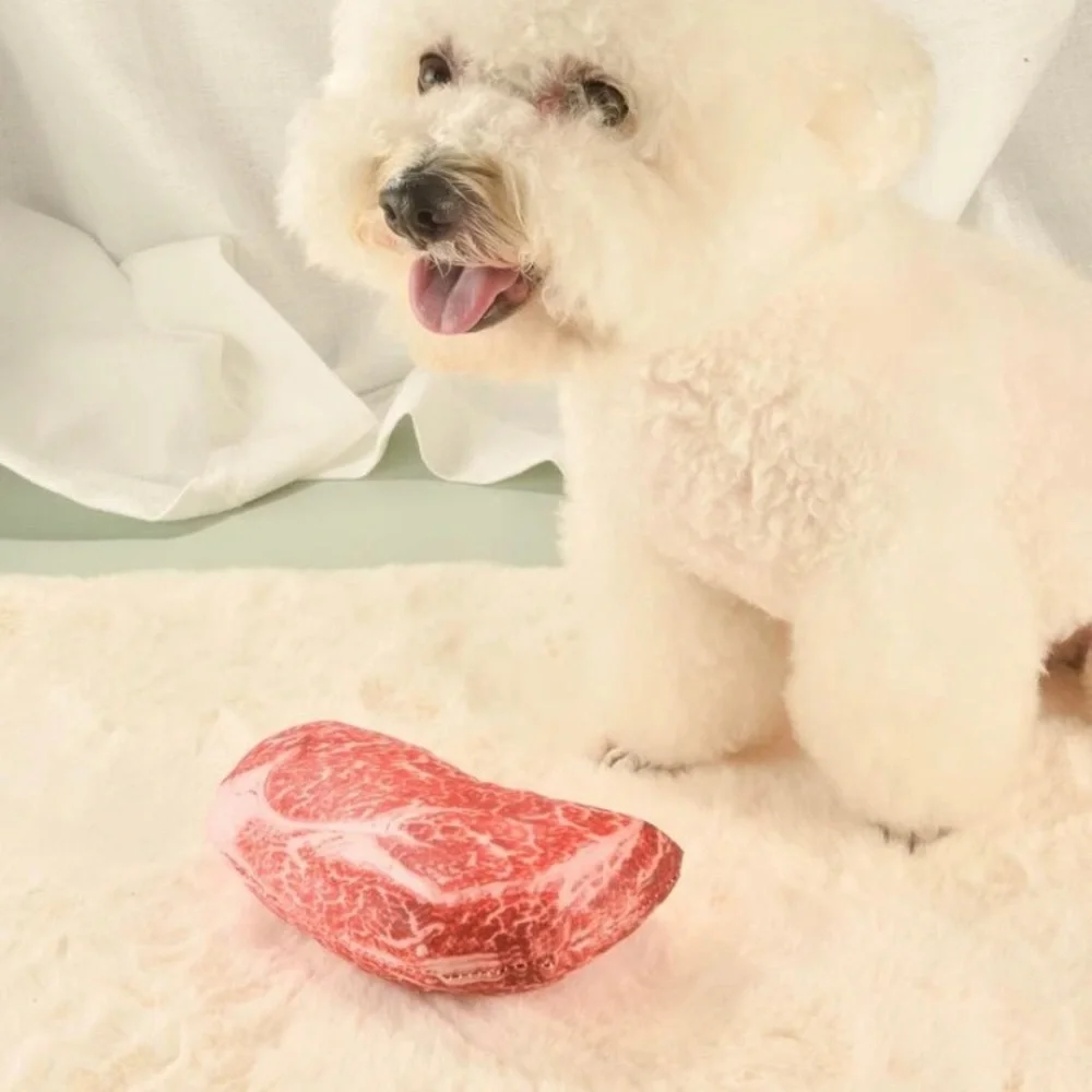 {NEW} Steak Design Dog Toy Red Light Chewers